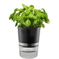 Produktbild: GEFU 18920 Kräutertopf Botanico