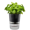 Produktbild: 4006664189200 GEFU BOTANICO Kräutertopf Freistehend Kunststoff, Edelstahl Schwar