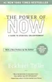 Produktbild: The power of now: a guide to spiritual enlightenment  vo... | Buch | Zustand gut