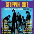 Produktbild: Various Artists Steppin' Out: The Roots of Garage Rock 1963-1965 (CD) Box Set