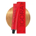 Produktbild: 9, 5 5 Igora Royal 60ml, 9-55 Extra Hellblond Gold Extra