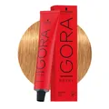 Produktbild: Schwarzkopf Igora Royal 9-55 Extra Helles Goldblond 60ml - Permanente Färbung