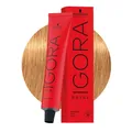 Produktbild: Schwarzkopf Igora Royal 9-55 Extra Helles Goldblond 60ml - Permanente Färbung