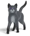 Produktbild: Schleich 14912 - Karajan der Kater, Die Schule der magischen Tiere, Tierfigur, L