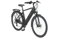 Produktbild: PROPHETE ENTDECKER 2.0 Herren Trekking E-Bike 28