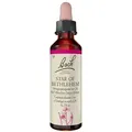 Produktbild: Bachblüten Star of Bethlehem Tropfen