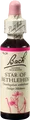 Produktbild: Nelsons GmbH BACHBLÜTEN Star of Bethlehem Tropfen 20 ml 00161648