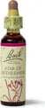 Produktbild: BACHBLÜTEN Star of Bethlehem Tropfen 20 ml