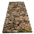 Produktbild: EKB-Kork Rückwand Kamari Zierkork für Terrarien (600 x 300 mm)