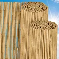 Produktbild: Sol Royal Schilfmatten Sichtschutz Zaun 100x300 cm SolVision S36 – langlebiger & witterungsbeständiger 100% Schilfrohrmatte Indoor & Outdoor für Balkon, Terrasse, Garten – Windschutz & Sonnenschutz