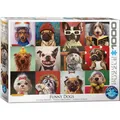 Produktbild: Eurographics Lustige Hunde von Lucia Heffernan (1000 Teile) (6000-5523)