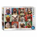 Produktbild: Eurographics Puzzle Lustige Hunde von Lucia Heffernan, 1000 Teile, 68 x 48 cm