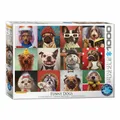 Produktbild: Eurographics Puzzle Lustige Hunde von Lucia Heffernan, 1000 Teile, 68 x 48 cm