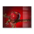 Produktbild: DEQORI Schneidebrett aus Glas | groß 40x30 cm | Motiv Flüssigkeit trifft Apfel | Design Schneideplatte für Küche | Frühstücksbrett antibakteriell & rutschfest | Glasplatte & Servierplatte
