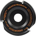 Produktbild: Arbortech Industrial Frässcheibe Woodcarver 100 mm (IND.FG.100.60)