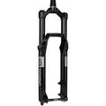Produktbild: RockShox Domain Gold Isolator RC3 (170 mm) (00.4021.081.005)
