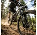 Produktbild: RockShox Federgabel Federgabel RS.Domain Gold Isolator RC3 29