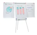 Produktbild: FRANKEN Flipchart, Beschreibbar, Magnetisch, Mit 2 Seitenarmen, Dreibeinstativ, 68 x 105 cm, Höhenverstellbar, inkl. Papierhalterung und Stifteablage, ECO Standard, F2100/N