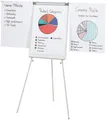 Produktbild: FRANKEN Standtafel Flipchart Eco Standard Dreibeinstativ lichtgrau