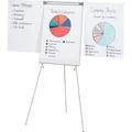 Produktbild: Franken Flipchart F2100N ECO Standard, höhenverstellbar, Dreibein, mit Seitenarmen
