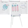 Produktbild: FRANKEN Flipchart ECO