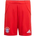 Produktbild: ADIDAS Kinder Teamhose FC Bayern München 25/26 Heim
