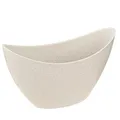 Produktbild: Viana Pflanzschiffchen Dekoschale Beige Kunststoff modern 20x9cm H12cm 3St