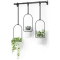 Produktbild: umbra Hängeblumentopf in Schwarz - (B)63,5 x (H)110 x (T)14,6 cm