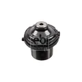 Produktbild: FEBI BILSTEIN 26929 Anschlagpuffer Federung Vorne für Astra G Classic Vectra