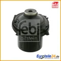 Produktbild: Anschlagpuffer, Federung FEBI BILSTEIN 26929 für Opel Meriva