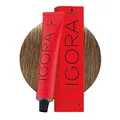 Produktbild: IGORA ROYAL 8-0 60ml 6er Pack