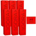 Produktbild: Schwarzkopf Igora Royal 6 x 60 ml 8-0 hellblond Haarfarbe Cremefarbe Set