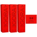 Produktbild: Schwarzkopf Igora Royal 3 x 60 ml 8-0 hellblond Haarfarbe Cremefarbe Set