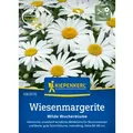 Produktbild: Kiepenkerl Wiesenmargerite Magerwiesen-Margerite Leucanthemum vulgare