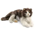 Produktbild: Wuschelige Katze / Ragdoll Cat v. Folkmanis Puppets Handpuppe Plüsch (2558)