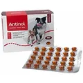 Produktbild: 180 Kapseln Antinol für Hunde