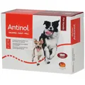 Produktbild: Antinol® Für Hunde
