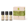 Produktbild: (463,33€/L) 30ml Primavera SET AROMA SAUNA Aufguss Konzentrat ätherische Öle