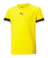Produktbild: PUMA Fußballtrikot teamRISE Trikot Kids Hell