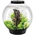 Produktbild: OASE Tabletop Aquarien 