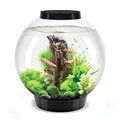 Produktbild: biOrb 72005 CLASSIC 30 LED, 30 L, schwarz - dekoratives, rundes Acryl-Aquarium, Komplett-Set mit patentiertem Filtersystem, LED-Beleuchtung