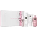 Produktbild: RITUALS Rituale The-Ritual-Of-SakuraSmall Gift Set The Ritual of Sakura Foaming Shower Gel 50 ml + The Ritual of Sakura Shower Oil 75 ml + The Ritual of Sakura Body Cream 70 ml + The Ritual of Sakura Hair & Body Mist 20 ml 1 Stk. (25,90 € / 1 Stk.)