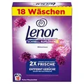 Produktbild: Lenor Color Blütentraum Waschmittel Pulver, 0,99 kg