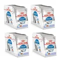 Produktbild: Royal Canin Indoor Sterilised in Gelee | 4er Pack | 4 x 12 x 85 g | Alleinfuttermittel für ausgewachsene Katzen die im Haus Leben | Für sterilisierte Katzen | Häppchen in Gelee