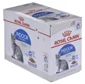Produktbild: Royal Canin Fhn Indoor Jelly - Nassfutter für erwachsene Katzen - 12X85G