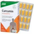 Produktbild: Curcumin - 202 Bioaktiv Kapseln 60 Stück 26g