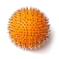 Produktbild: Akupunktur-Hand-/Fußmassageball - Stressball - Skill