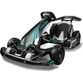 Produktbild: NINEBOT GoKart PRO 2 by Segway E-Board (3 Zoll, Grau)