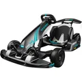 Produktbild: Segway-Ninebot GoKart PRO 2 (AA.04.04.01.0004)