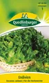Produktbild: Endivien Escariol Grüner Samen von Quedlinburger Saatgut